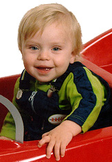 Sammy in the car